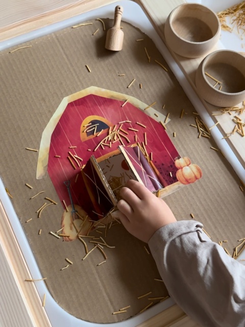 Dyniowa farma z nakładką