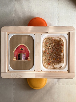 Dyniowa farma z nakładką