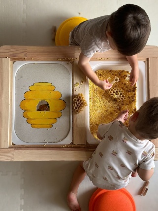 Świat pszczół z nakładką