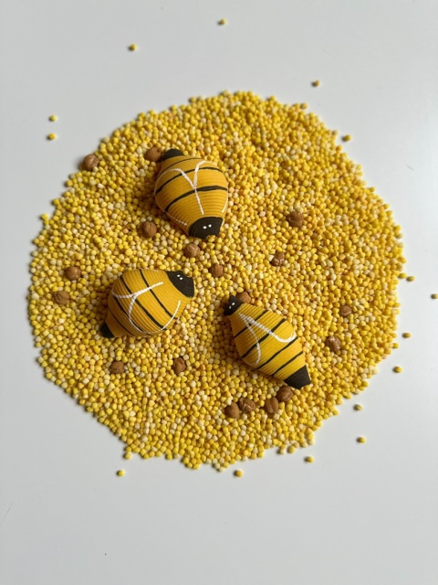 Świat pszczół z nakładką