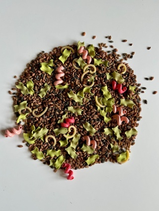 Robaczkowa mieszanka z nakładką