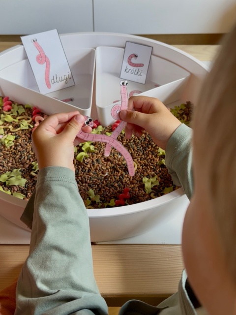 Robaczkowa mieszanka z nakładką