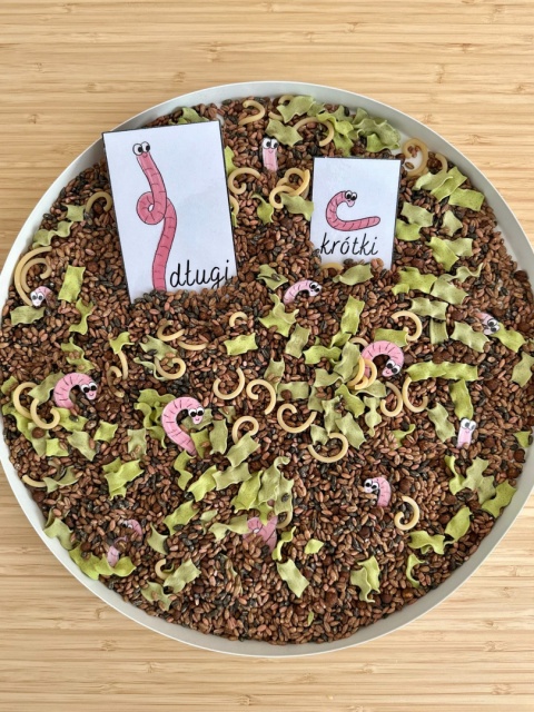 Robaczkowa mieszanka z nakładką