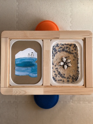 Zimowa przygoda z nakładką