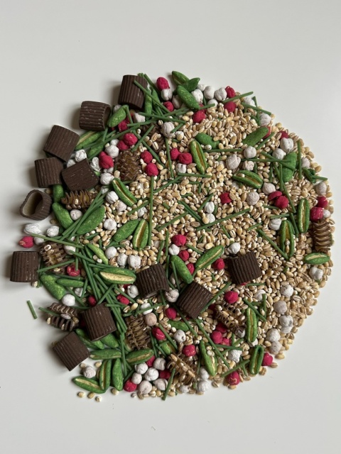 Zimowy las z nakładką